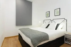 46589 49880976 1246207505