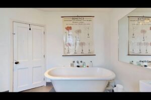 imgi 10 o 1jjh8o9q8p1pfl614961jji11987