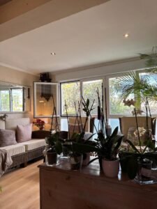 imgi 13 cedfb58f 06cc 48ee 8824 849f47d13363